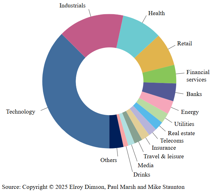 US Sector Concentration in 2025